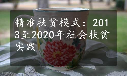 精准扶贫模式：2013至2020年社会扶贫实践