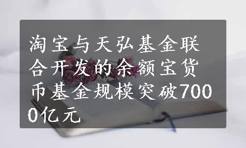 淘宝与天弘基金联合开发的余额宝货币基金规模突破7000亿元