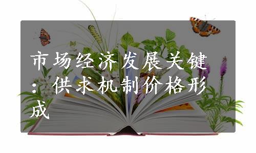 市场经济发展关键：供求机制价格形成