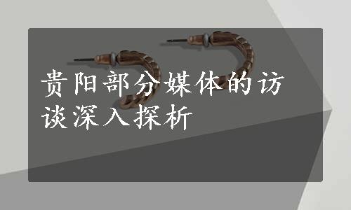 贵阳部分媒体的访谈深入探析