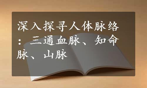 深入探寻人体脉络：三通血脉、知命脉、山脉