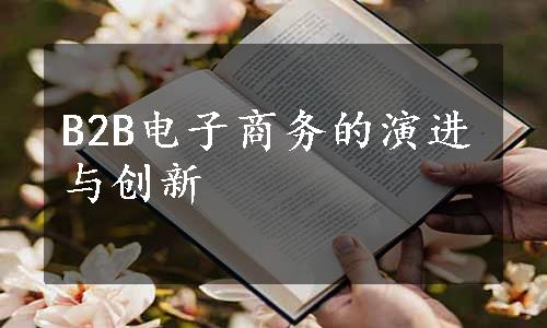 B2B电子商务的演进与创新