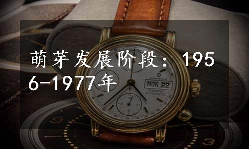 萌芽发展阶段：1956-1977年