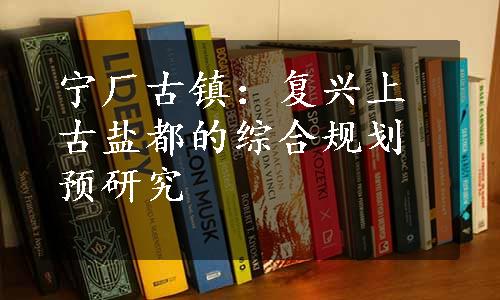 宁厂古镇：复兴上古盐都的综合规划预研究