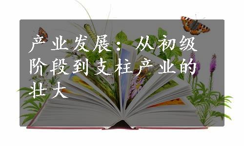 产业发展：从初级阶段到支柱产业的壮大