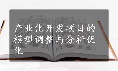 产业化开发项目的模型调整与分析优化