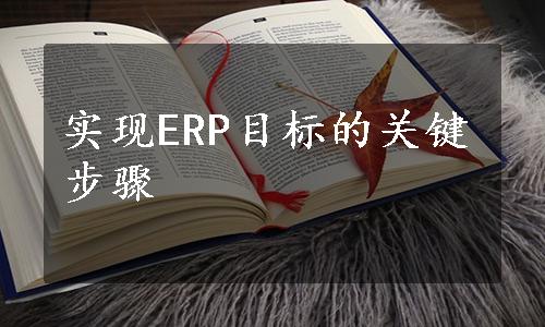 实现ERP目标的关键步骤