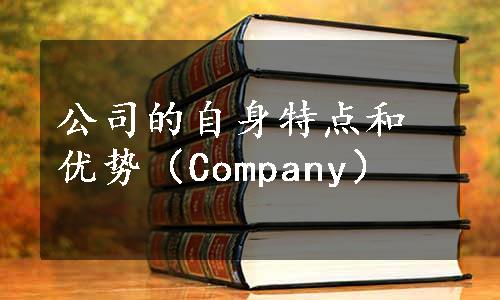 公司的自身特点和优势（Company）