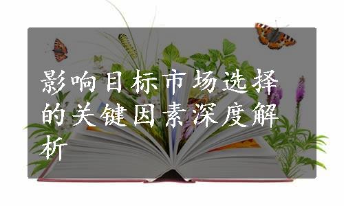 影响目标市场选择的关键因素深度解析