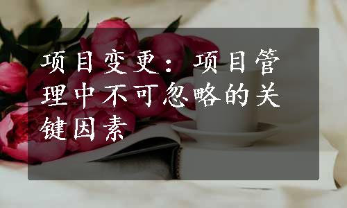 项目变更：项目管理中不可忽略的关键因素