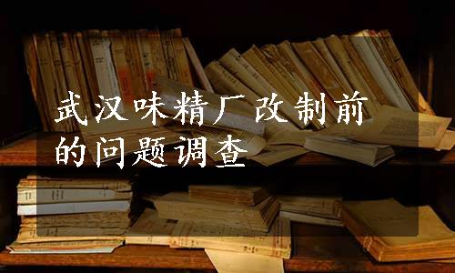 武汉味精厂改制前的问题调查