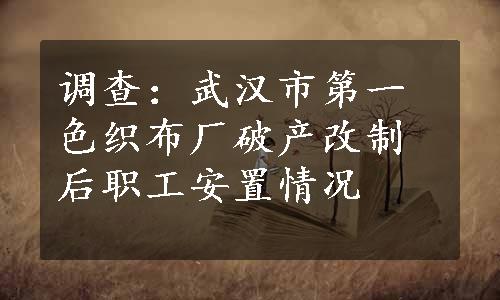 调查：武汉市第一色织布厂破产改制后职工安置情况