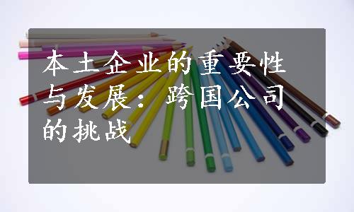 本土企业的重要性与发展：跨国公司的挑战