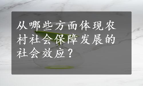 从哪些方面体现农村社会保障发展的社会效应？