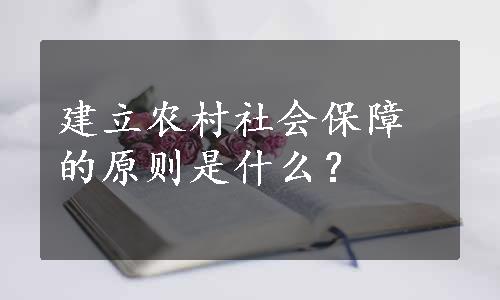 建立农村社会保障的原则是什么？