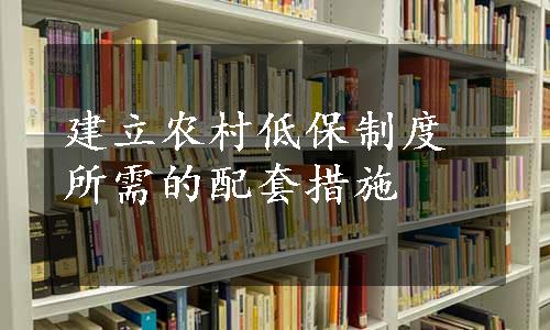 建立农村低保制度所需的配套措施