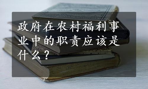 政府在农村福利事业中的职责应该是什么？