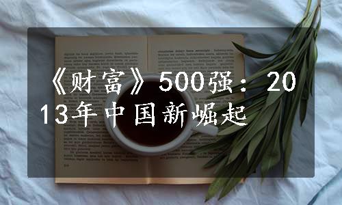 《财富》500强：2013年中国新崛起