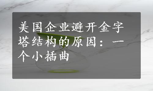 美国企业避开金字塔结构的原因：一个小插曲