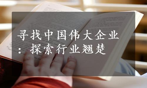 寻找中国伟大企业：探索行业翘楚