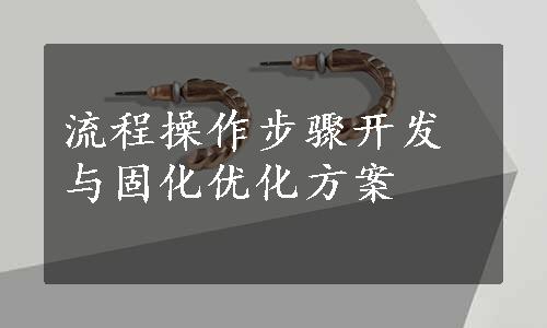 流程操作步骤开发与固化优化方案