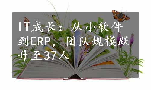 IT成长：从小软件到ERP，团队规模跃升至37人