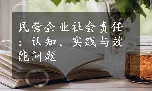 民营企业社会责任：认知、实践与效能问题