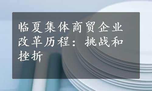 临夏集体商贸企业改革历程：挑战和挫折