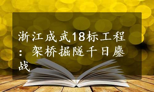 浙江成武18标工程：架桥掘隧千日鏖战