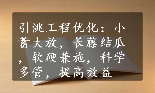 引洮工程优化：小蓄大放，长藤结瓜，软硬兼施，科学多管，提高效益