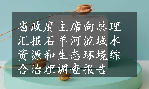 省政府主席向总理汇报石羊河流域水资源和生态环境综合治理调查报告