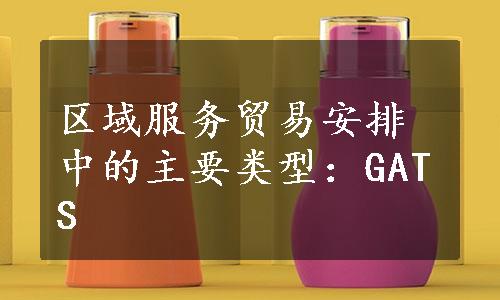 区域服务贸易安排中的主要类型：GATS