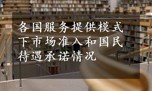 各国服务提供模式下市场准入和国民待遇承诺情况