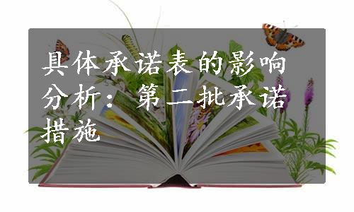 具体承诺表的影响分析：第二批承诺措施