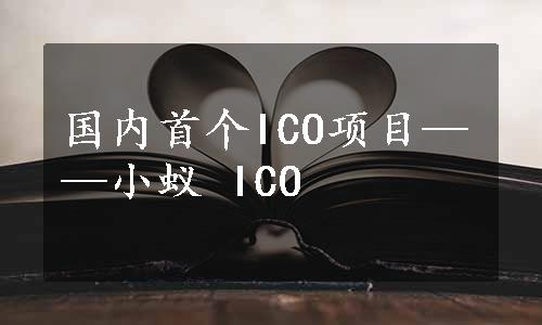 国内首个ICO项目——小蚁 ICO