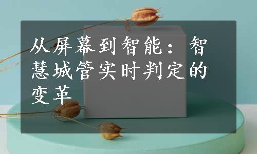 从屏幕到智能：智慧城管实时判定的变革