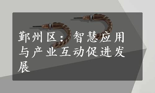 鄞州区：智慧应用与产业互动促进发展