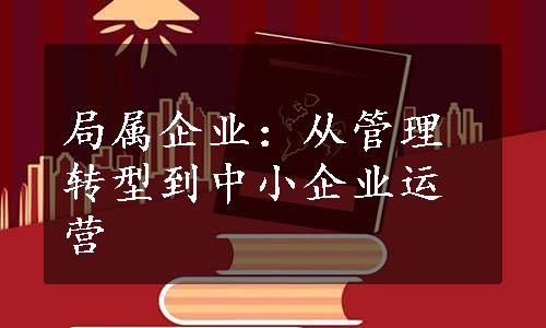 局属企业：从管理转型到中小企业运营