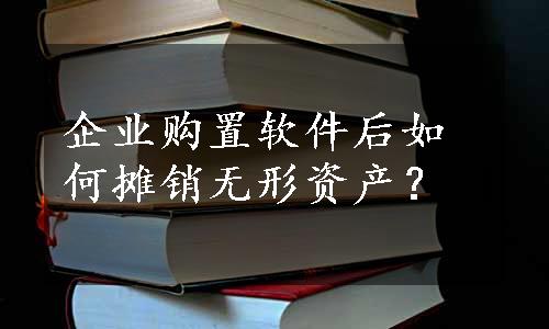 企业购置软件后如何摊销无形资产？