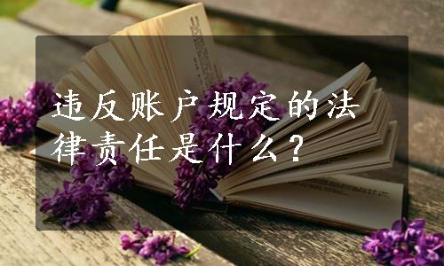 违反账户规定的法律责任是什么？