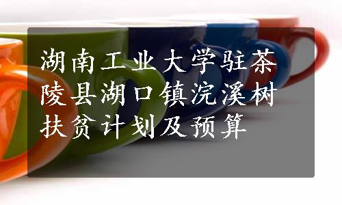 湖南工业大学驻茶陵县湖口镇浣溪树扶贫计划及预算