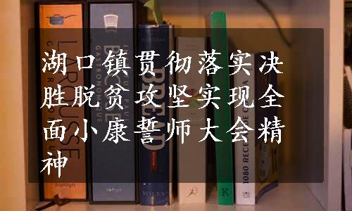 湖口镇贯彻落实决胜脱贫攻坚实现全面小康誓师大会精神