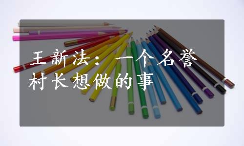 王新法：一个名誉村长想做的事