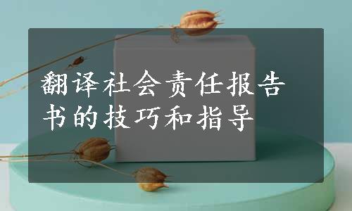 翻译社会责任报告书的技巧和指导