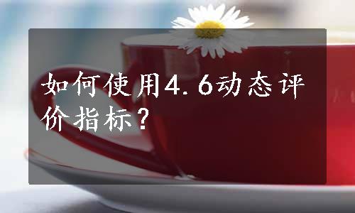 如何使用4.6动态评价指标？