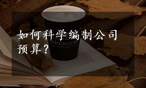 如何科学编制公司预算？