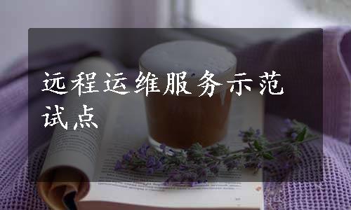 远程运维服务示范试点