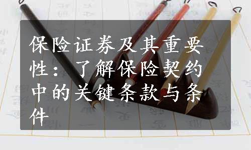 保险证券及其重要性：了解保险契约中的关键条款与条件