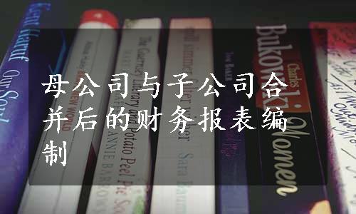 母公司与子公司合并后的财务报表编制