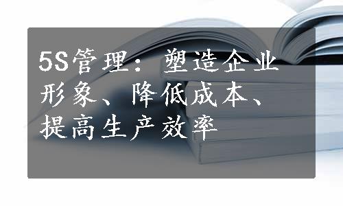 5S管理：塑造企业形象、降低成本、提高生产效率